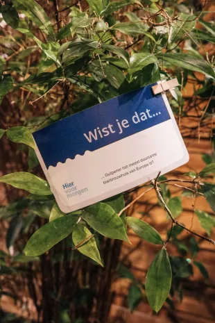 Hier voor Morgen 10 jaar Dutch Boosting Group 0117 PG015794 foto Pim Geerts