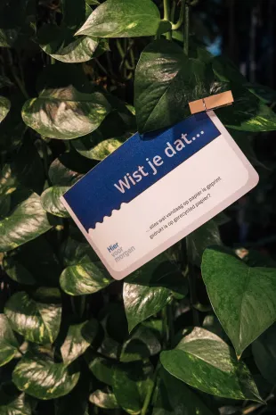 Hier voor Morgen 10 jaar Dutch Boosting Group 0108 PG015785 foto Pim Geerts